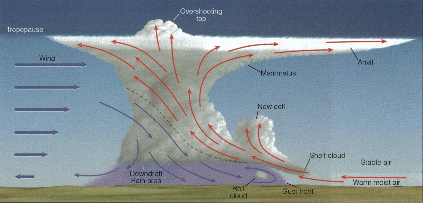 Calm before the storm - etymology, origin and meaning