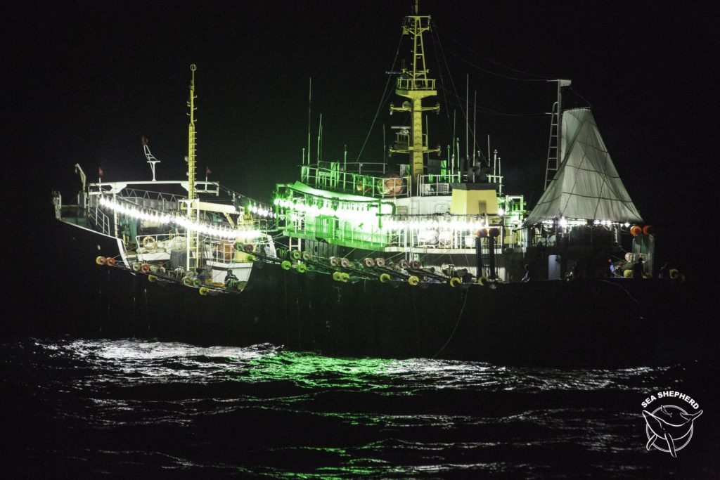 fishing vessels at night lighting